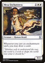 Mesa Enchantress #19