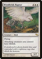 Windbrisk Raptor #26