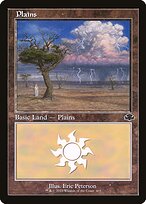 Plains #403