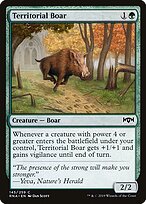 Territorial Boar #145