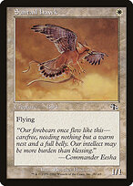 Suntail Hawk #28