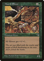 Muscle Sliver #238