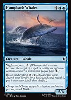 Humpback Whales #65