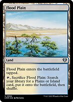 Flood Plain #994