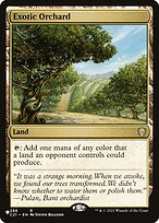 Exotic Orchard #C21-288