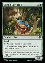 Poison Dart Frog #207