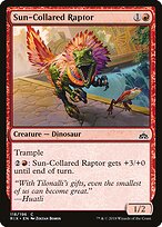 Sun-Collared Raptor #118