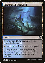 Submerged Boneyard #178