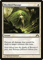 Shielded Passage #24