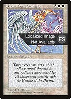 Divine Transformation #23