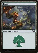 Forest #375