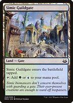 Simic Guildgate #248