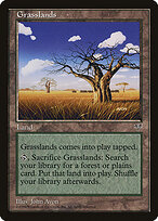Grasslands #327