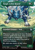 Torgal, A Fine Hound #345