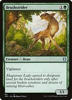 Brushstrider #381