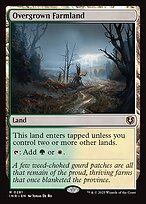 Overgrown Farmland #281