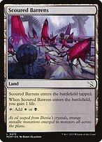 Scoured Barrens #272