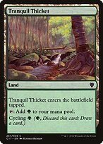 Tranquil Thicket #287