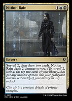 Notion Rain #217