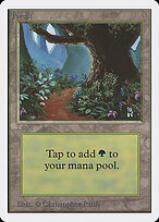 Forest #301
