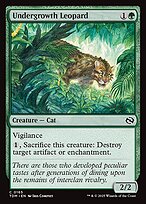 Undergrowth Leopard #165