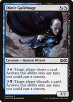 Dimir Guildmage #213