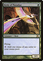 Birds of Paradise #252★