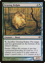 Grazing Kelpie #153