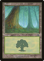 Forest #347