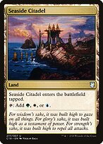 Seaside Citadel #277