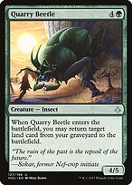 Quarry Beetle #127