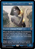 Spellseeker #495