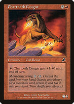 Chartooth Cougar #84