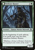 Solitary Hunter // One of the Pack #229