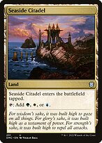 Seaside Citadel #231