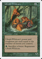 Uktabi Wildcats #278