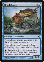 Floodchaser #34