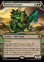 Bristlebud Farmer #47