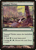 Tranquil Thicket #329
