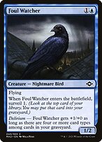 Foul Watcher #43