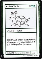 Patient Turtle #82