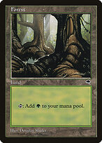 Forest #348