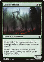 Conifer Strider #179