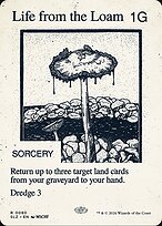 Life from the Loam #80