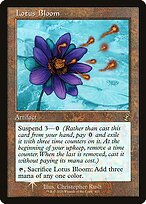 Lotus Bloom #411