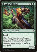 Grazing Whiptail #190