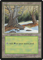 Forest #382