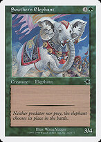 Southern Elephant #142