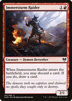 Immersturm Raider #141