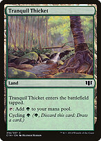 Tranquil Thicket #316